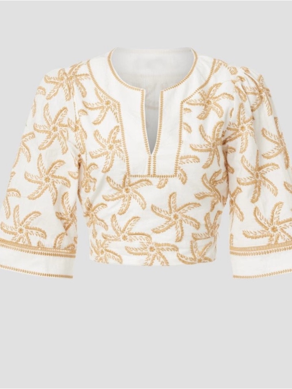 Scotch & Soda Embroidered top